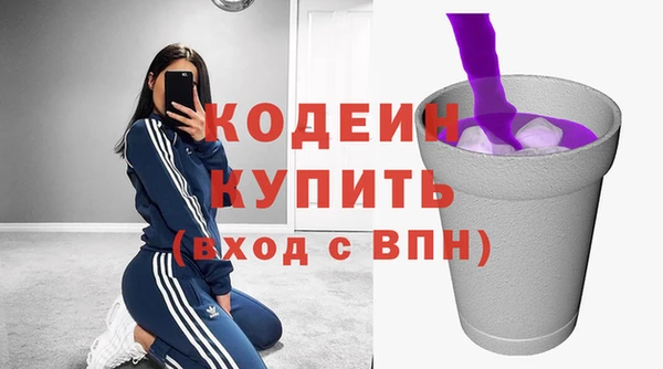 крисы Абаза