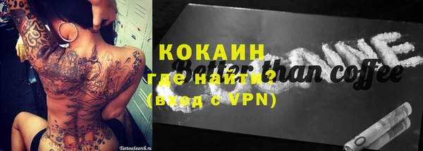 крисы Абаза