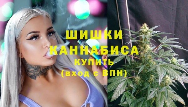крисы Абаза