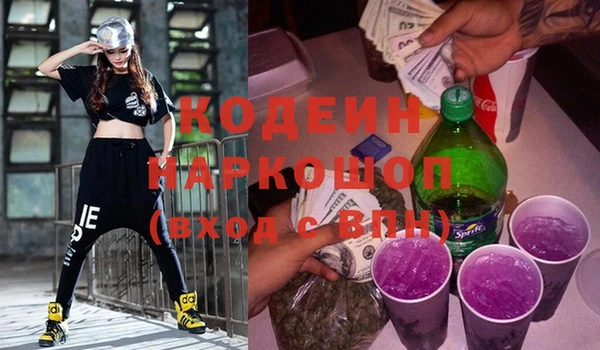 хмурый Алексин