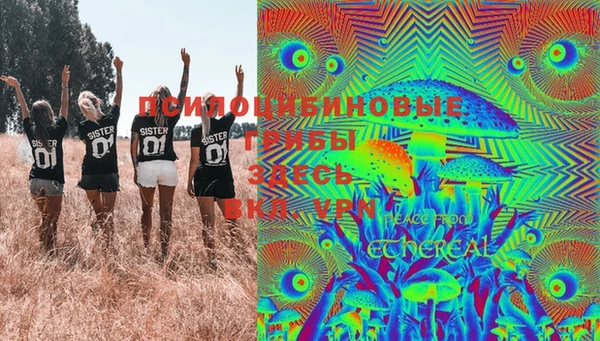 хмурый Алексин