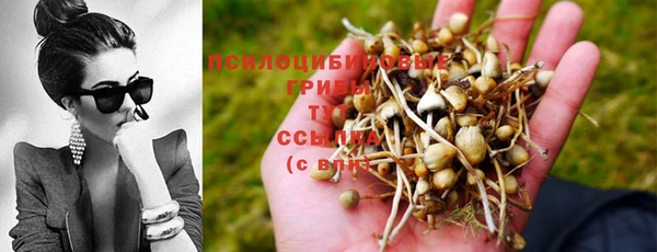 соль курить ск Абинск
