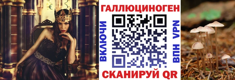 Галлюциногенные грибы прущие грибы  как найти   Змеиногорск 